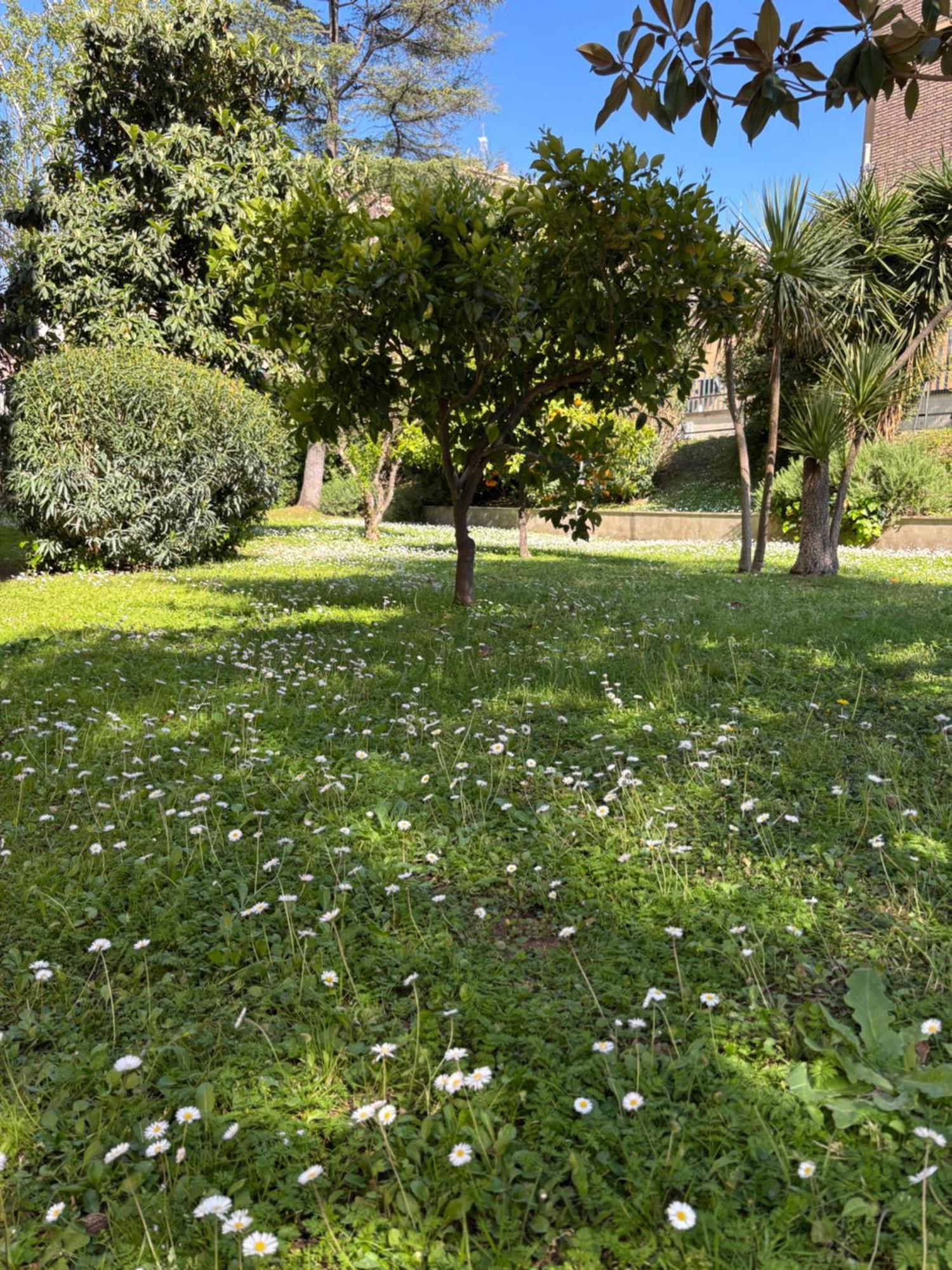Grelly'S House - Holiday In Rome - 50 Meters From The Metro Esterno foto