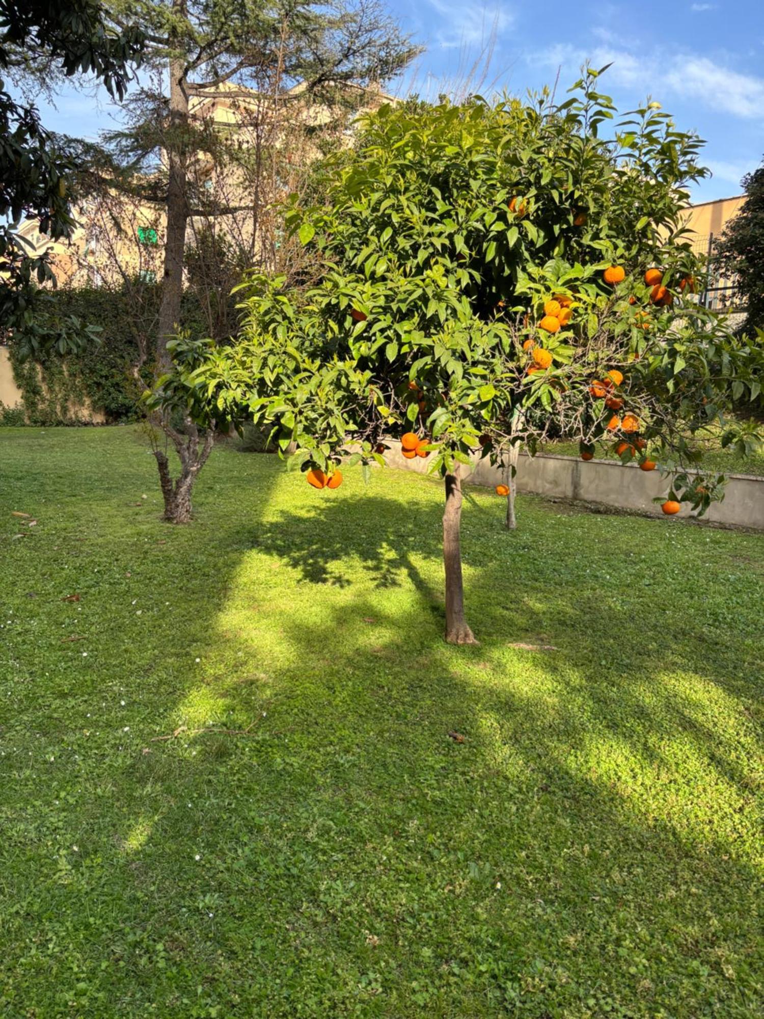 Grelly'S House - Holiday In Rome - 50 Meters From The Metro Esterno foto